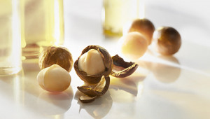 Dr. Hauschka Ingredients A to Z Dr. Hauschka Ingredients A to Z