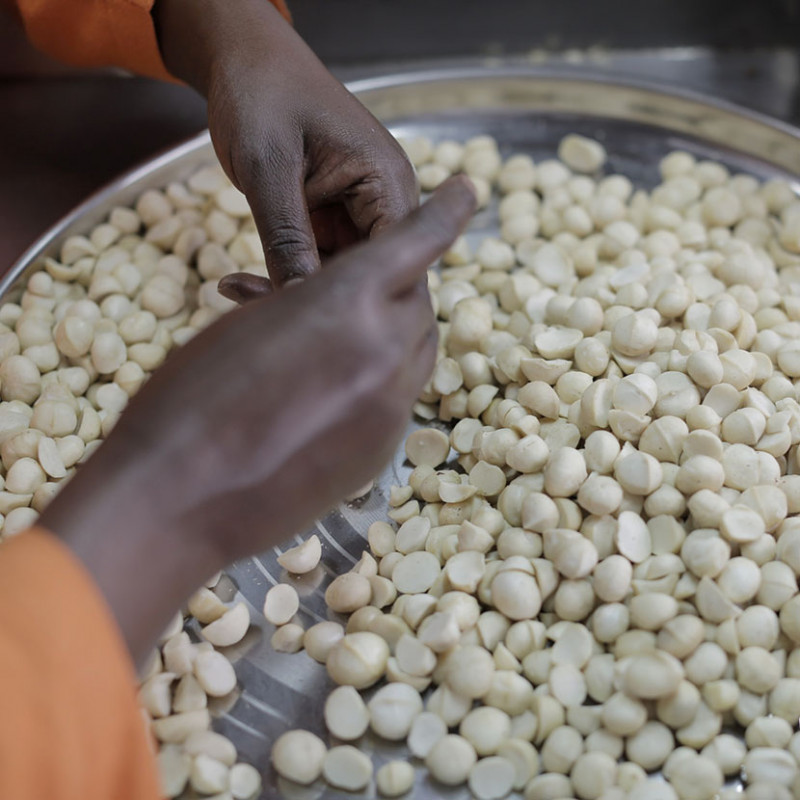 Macadamia nuts from Kenya Dr. Hauschka