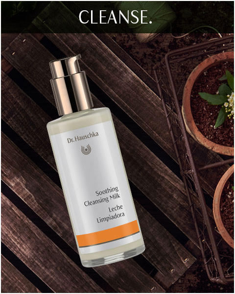 破格値下げ Dr ハウシュカ クリスマス アドベントカレンダー Dr Hauschka スキンケア 基礎化粧品その他 スキンケア 基礎化粧品その他 Www Solidarite Numerique Fr