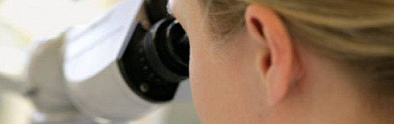 Dr. Hauschka Research, development and production